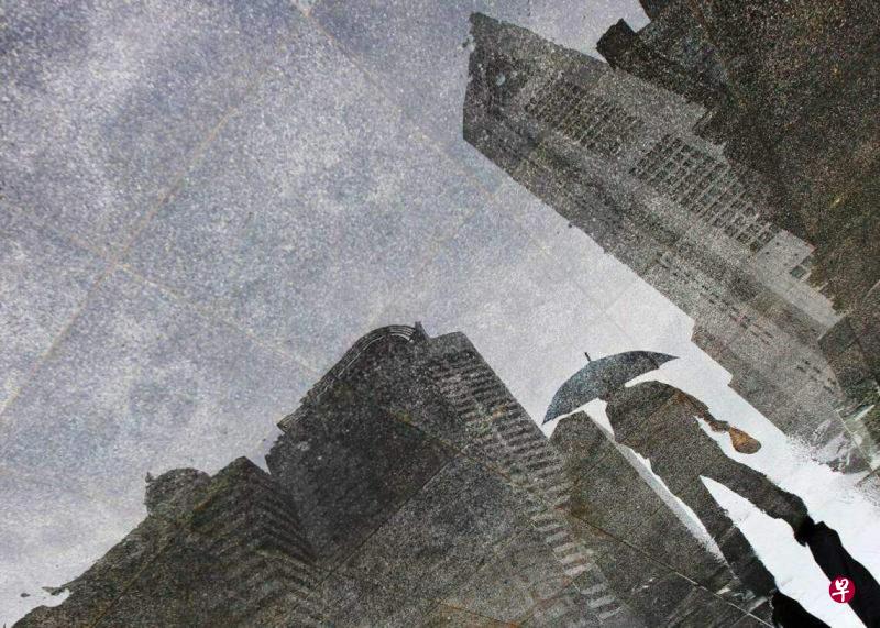 ���岨�����۵��ɼ��Ӧ����ʢ���ʱ���