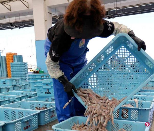 ���й�����в�� �ձ��������ڳ�̨���ð�������