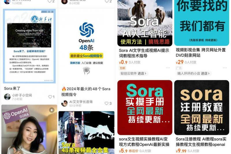在小红书和淘宝上有各种关于Sora的课程和资料包。(小红书和淘宝截图)