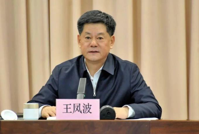 首次披露,王凤波、严喜鹤已被查