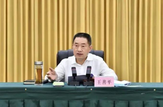 市长王善平,任上被查