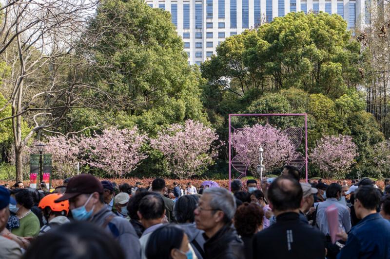上海人民公园著名的相亲角,摄于今年3月。