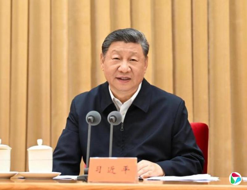 习近平罕见批评地方 扎堆发展人工智能和新能源汽车
