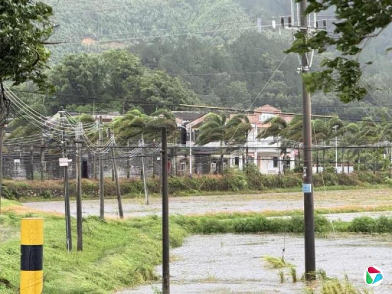 �㶫�ϰ���GDP����4.2% ����ȫ��ˮƽ