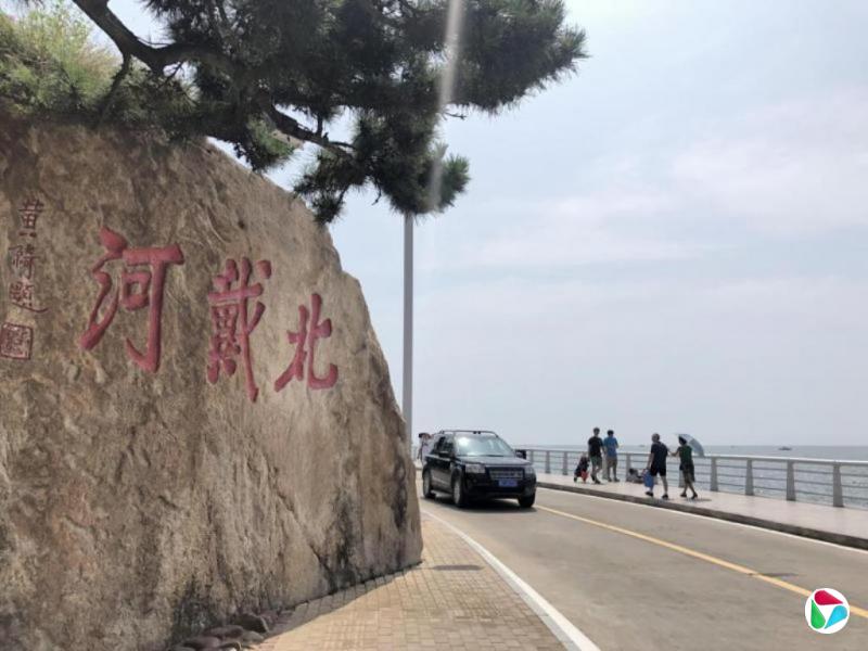 杨丹旭:北戴河为四中全会做准备