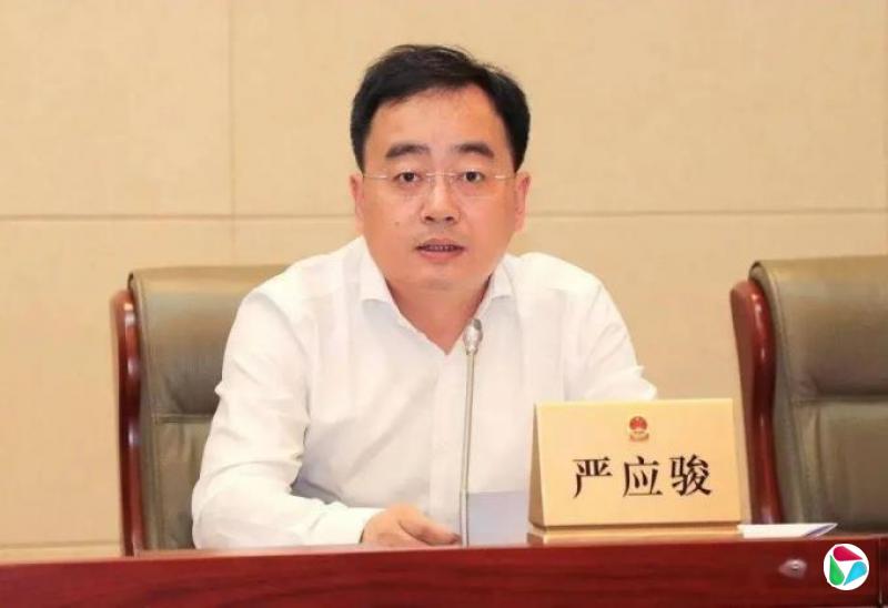 由副厅降为正处4年后,严应骏官宣落马
