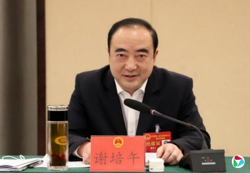 谢培午,被查