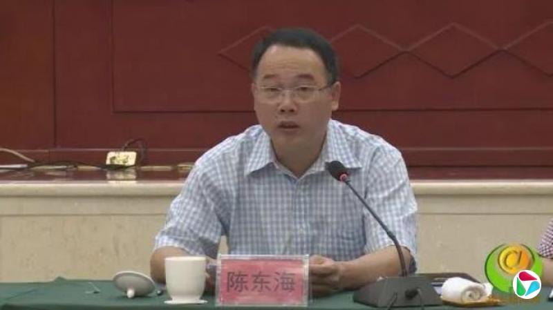 县长陈东海为追求政绩,不顾反对意见,执意推动在文物保护单位核心区内建设“灯光秀”项目