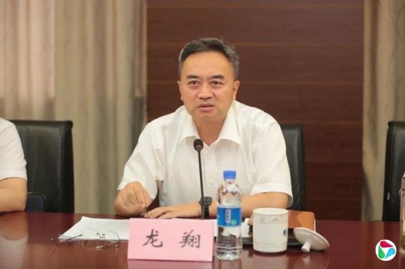 中共中央批准,开除龙翔党籍