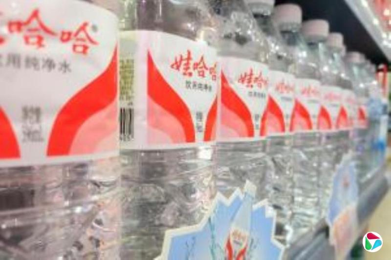 传宗泽后推“娃小智”与侄女宗馥莉打对台
