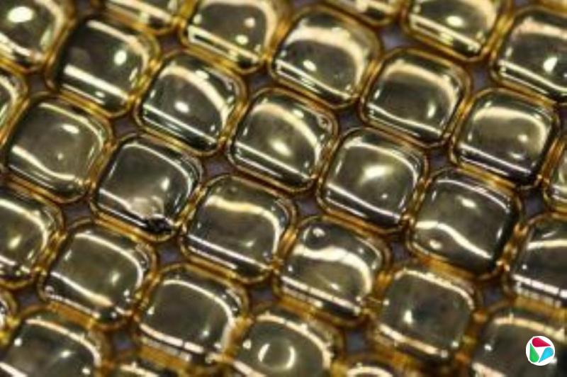 �й����ο˼����Ի���