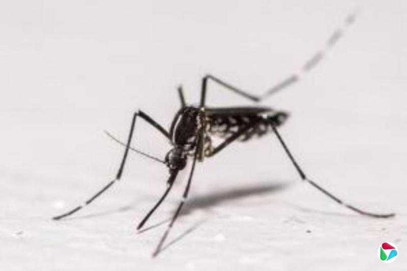 广东江门发布22条禁令纠正过度防疫