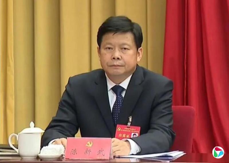 陈新武任中共重庆市委副书记