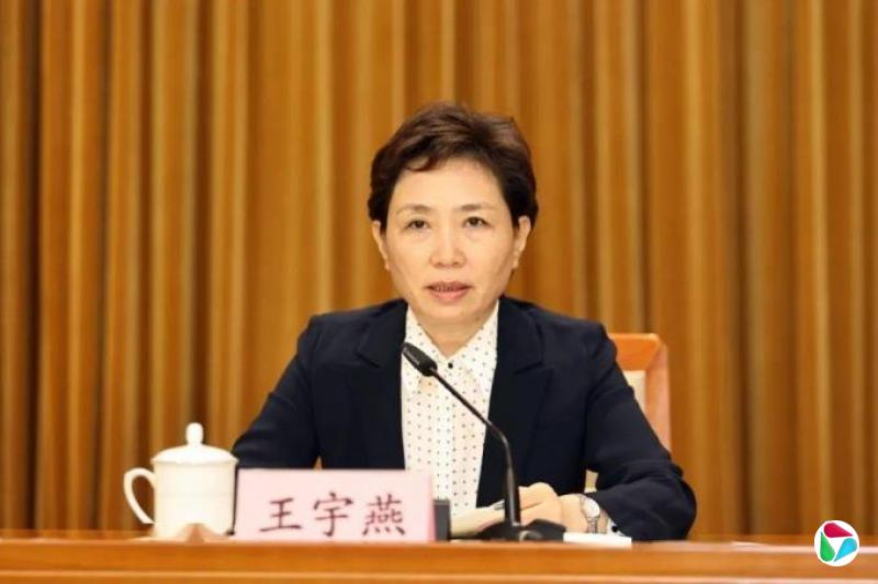 王宇燕,当选新职
