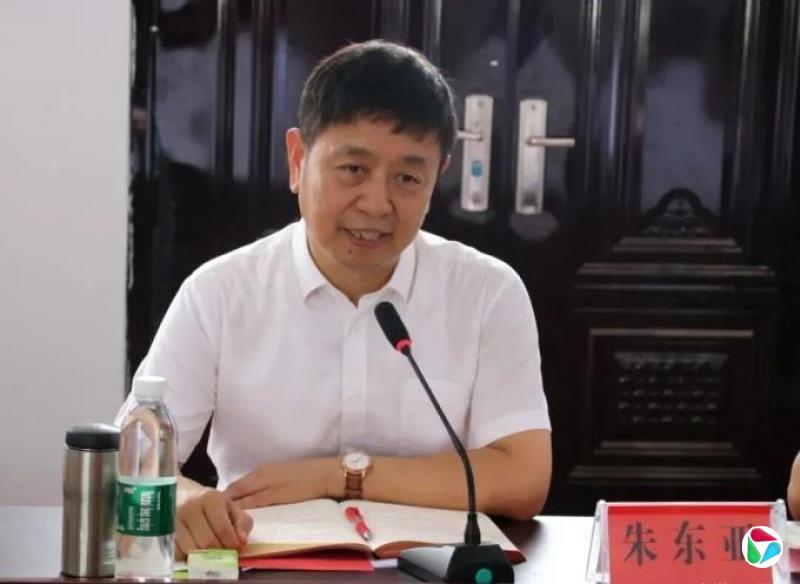 转岗7个月即被免职,朱东亚主动投案