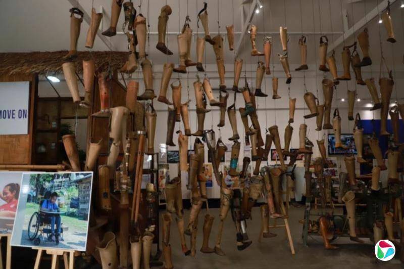 君不见:想象不可想象的惨痛画面