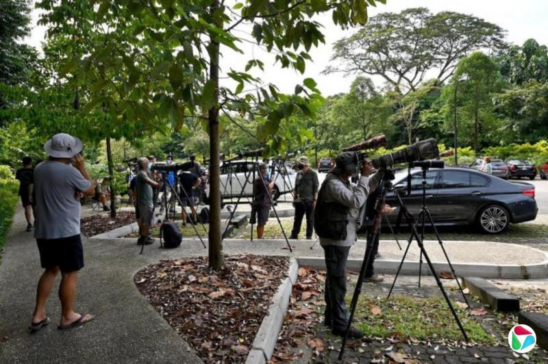 林任君:城中野趣待寻芳——新加坡不是一座钢骨水泥森林