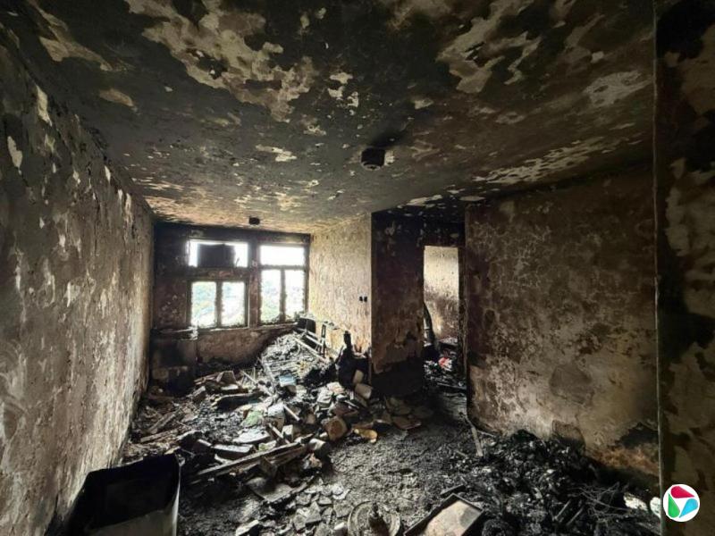 ۺ긣Էֳɼߴûдﵽȼ׼