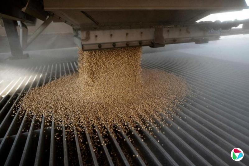 中国11月大豆进口量将创四年新高