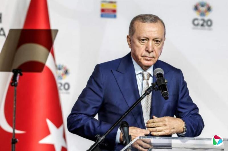 埃尔多安:黑海不应成为对抗区域