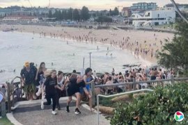 �ľ�������Ϻ�̲ǹ����Ϊ��Ϯ ��������12��