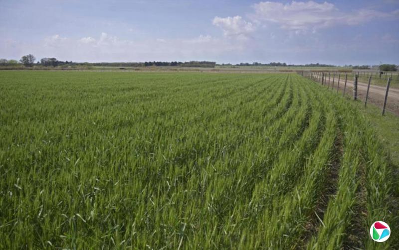 �й���ʮ�����״ι��򰢸�͢С��