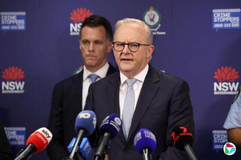 ��������˹�������鱨ϵͳ����ʵ������