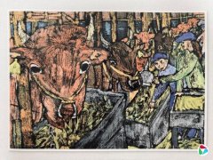 �캣�ȣ����������Ȼ��ô������ôԶ