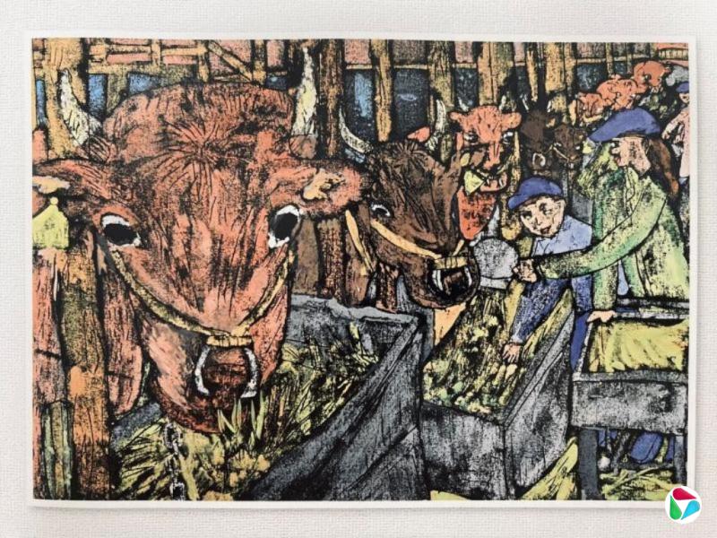 徐海娜:我们与大自然那么近又那么远