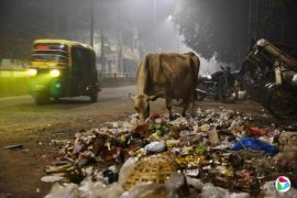 ��������ʥ�ǵĹ���Ӱ