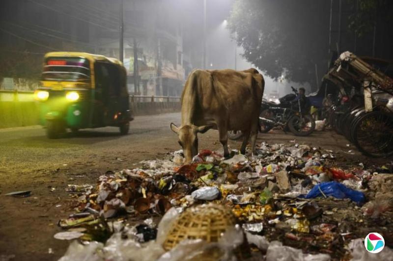 ��������ʥ�ǵĹ���Ӱ