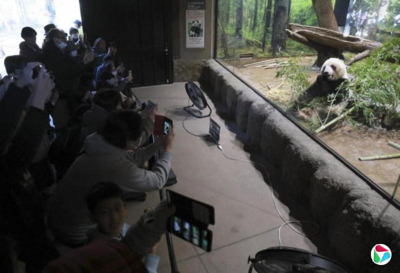 �վ�ó�����������·û� ������δ��