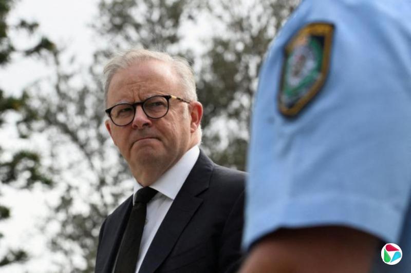 ������������Ծ������鱨�����������