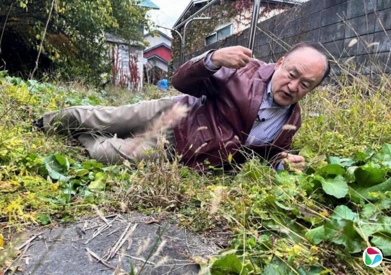 �����᣺�ձ��ܻ�������