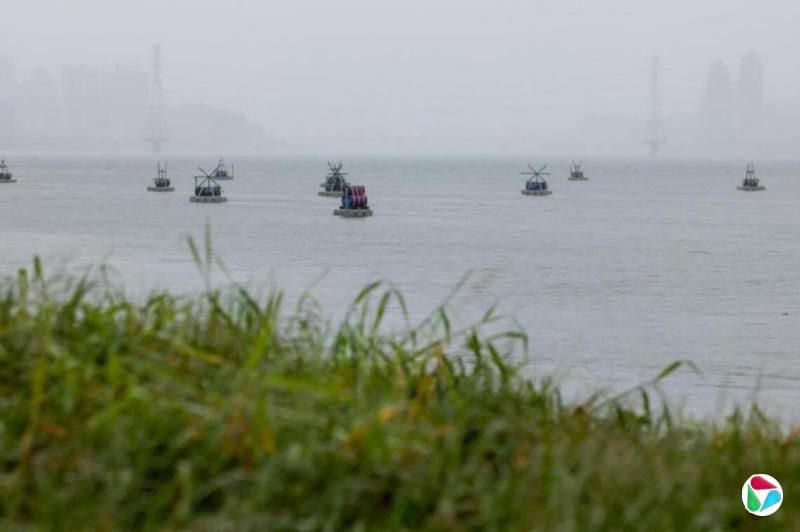 ������ŷ�ĵȶ�Χ̨���ݹ����ǡ��ߵ��ڰס�