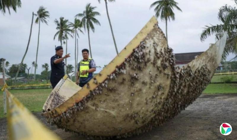 彭亨州海滩发现疑似太空物体碎片 检测证实不含辐射