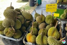 �����񗆱��� ����ũҵ���۾ֳ����չ��ȼ�