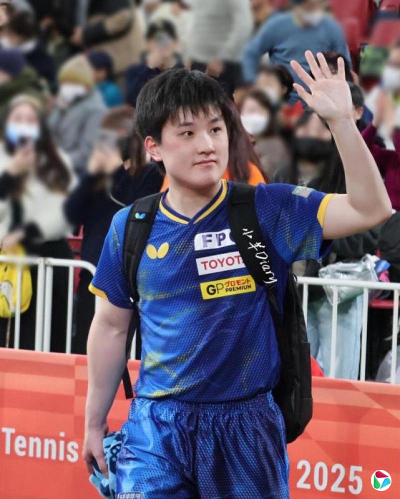 �й���ý�����ű��Ǻ͵����� ���ձ�����������͸��������