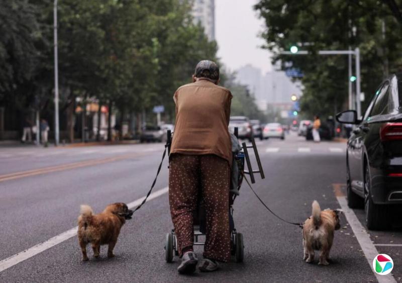 �ظ壺�й����������ˡ��������� ����һ�����������Ѹ�