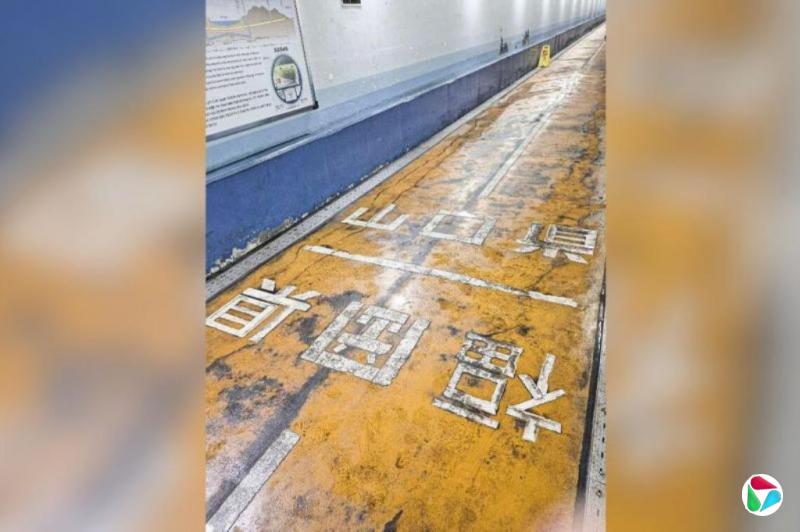 Ҷ���ɣ����ձ����ݶ�����