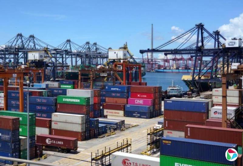 ��ȥ��12��PMI����51.9�������������Ե���α��Ī���Ӱ�쾭������