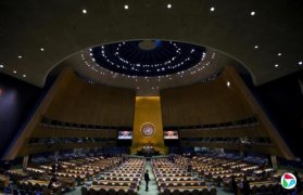 ���Ϲ������ˣ�������Ƿ�� ������ʧȥ����ͶƱȨ