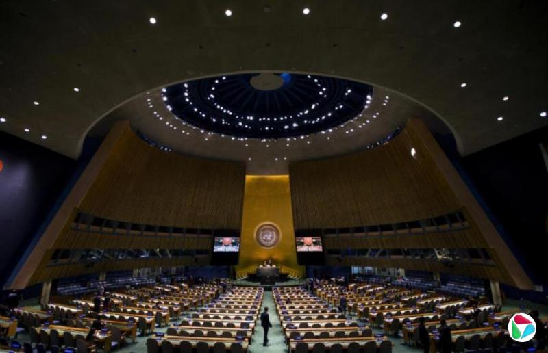 ���Ϲ������ˣ�������Ƿ�� ������ʧȥ����ͶƱȨ