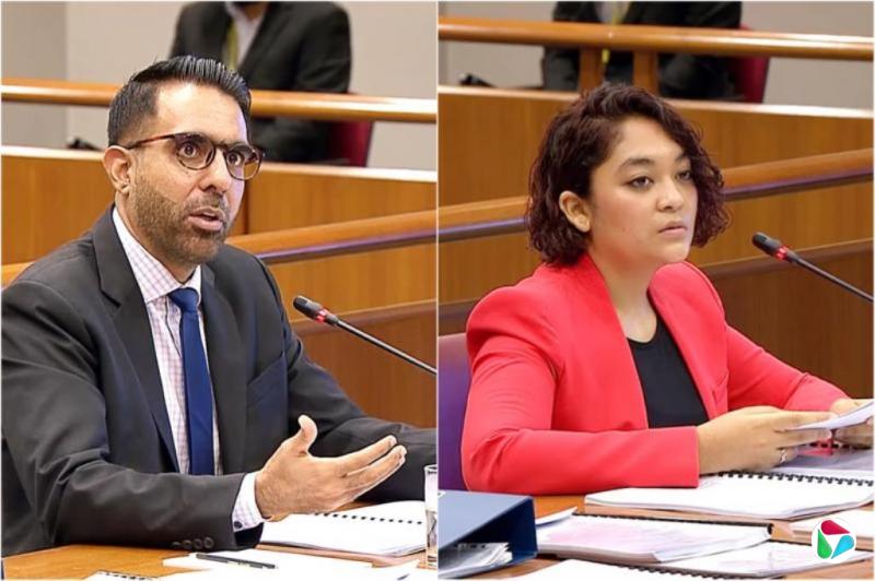 洪奕婷:从“莎谎”到“毕谎”仍未完