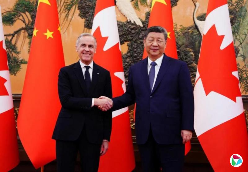 ���᣺�»���ϵ�����м�ӭ��ʷ������