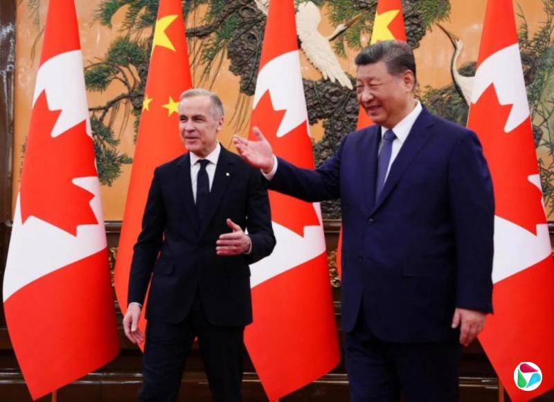 ϰ��ƽ�Ῠ�᣺�мӹ�ϵ�����ȶ���չ������������