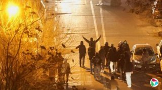 ����ͳ����������1979��������������ս