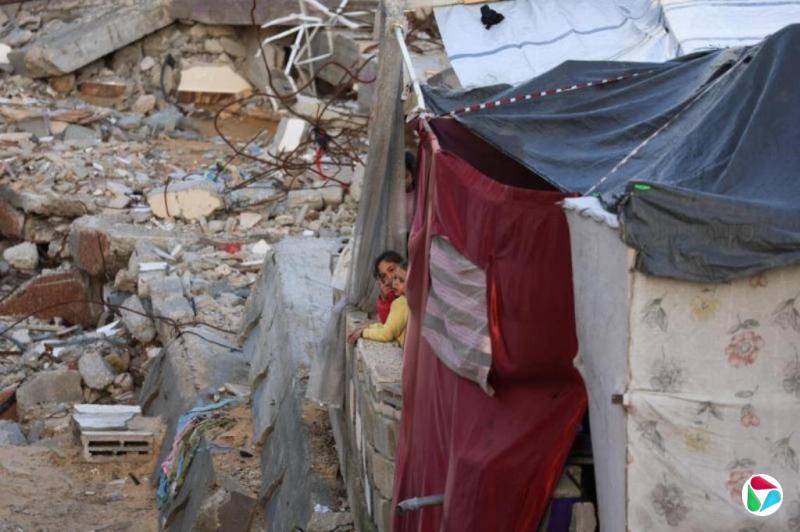 ����˹̹��������ίԱ��������ʽ�������� �ڹ�����������ɳ�ش�