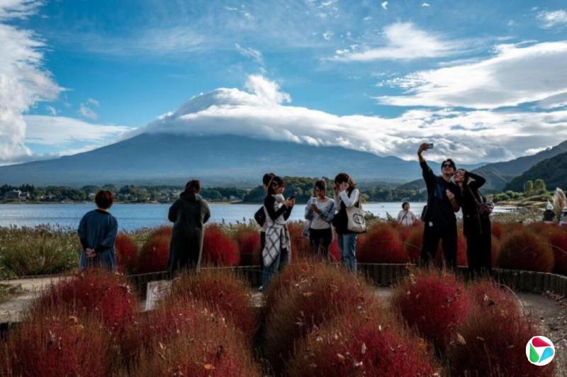 �ձ�12���뾳�οʹ��¸� �й��ο����45%