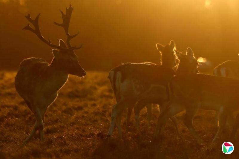 ��ӭ��˭����������